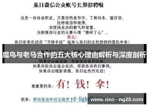 魔鸟与老马合作的五大核心理由解析与深度剖析