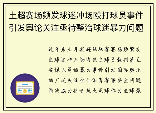 土超赛场频发球迷冲场殴打球员事件引发舆论关注亟待整治球迷暴力问题
